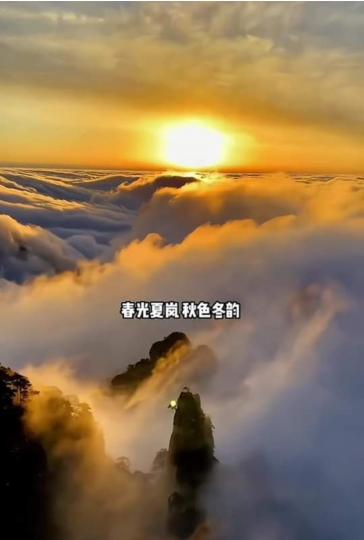 image%3A1000030194_0