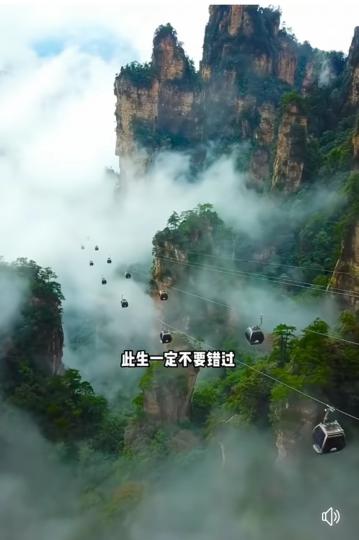 image%3A1000030219