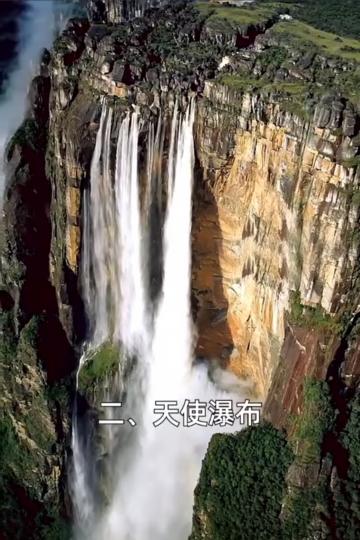 image%3A1000031039