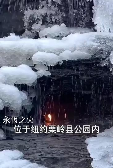 image%3A1000031045