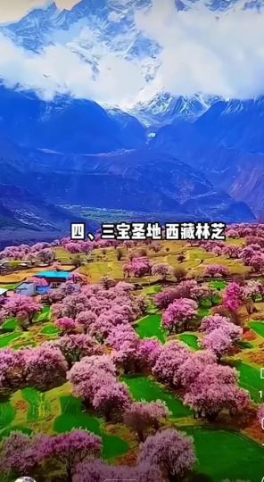 image%3A1000031125