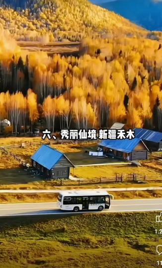 image%3A1000031133