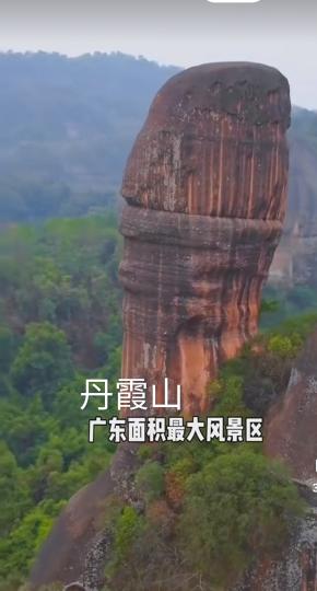 image%3A1000031287