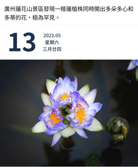 image%3A1000031307
