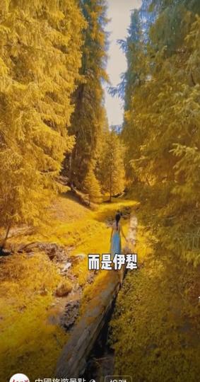 image%3A1000031330