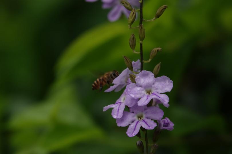 image%3A1000031694_0