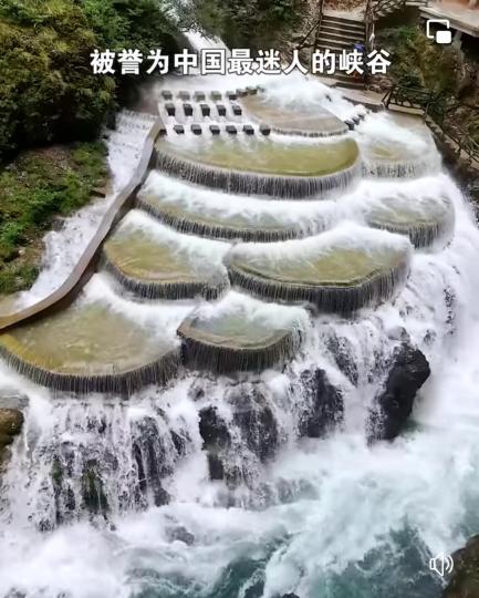 image%3A1000031911