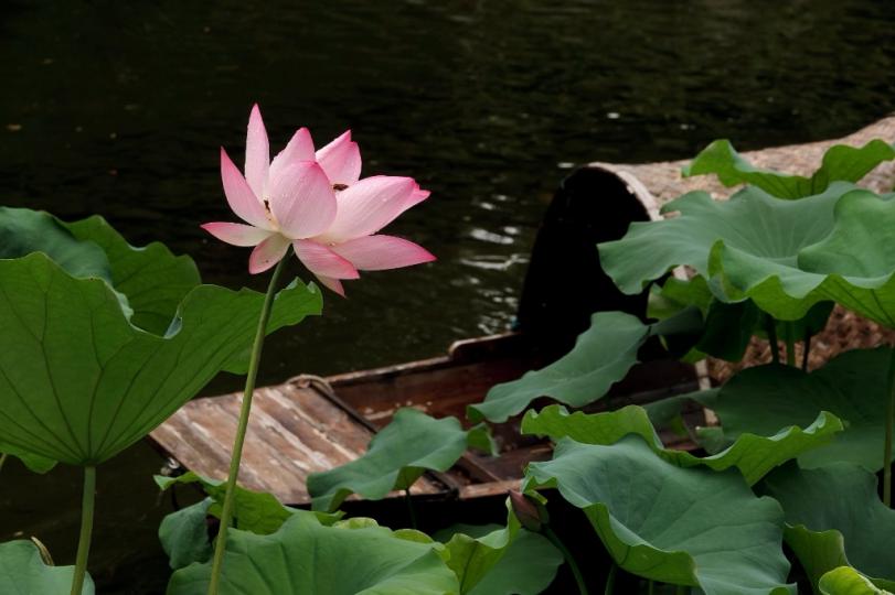 image%3A1000032256