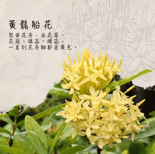 image%3A1000032364