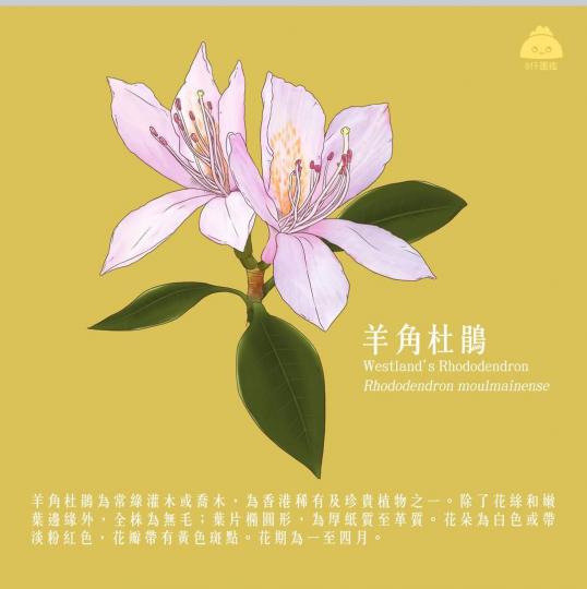 image%3A1000032754