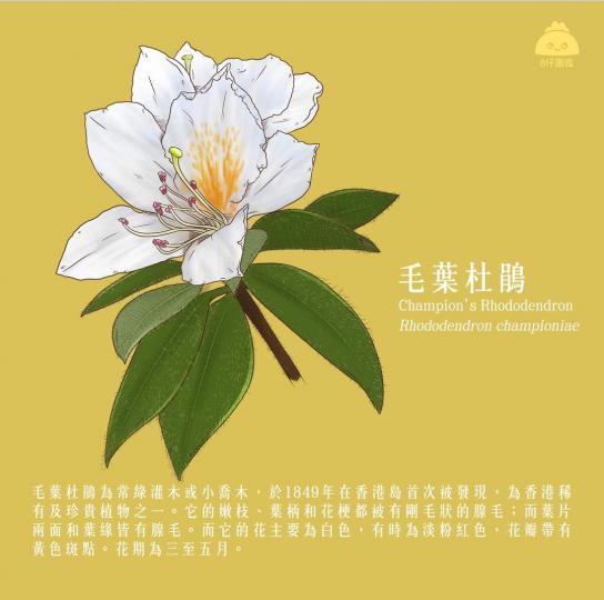 image%3A1000032758