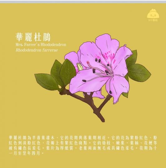 image%3A1000032760