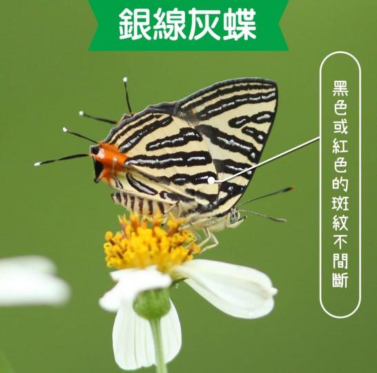 image%3A1000033103