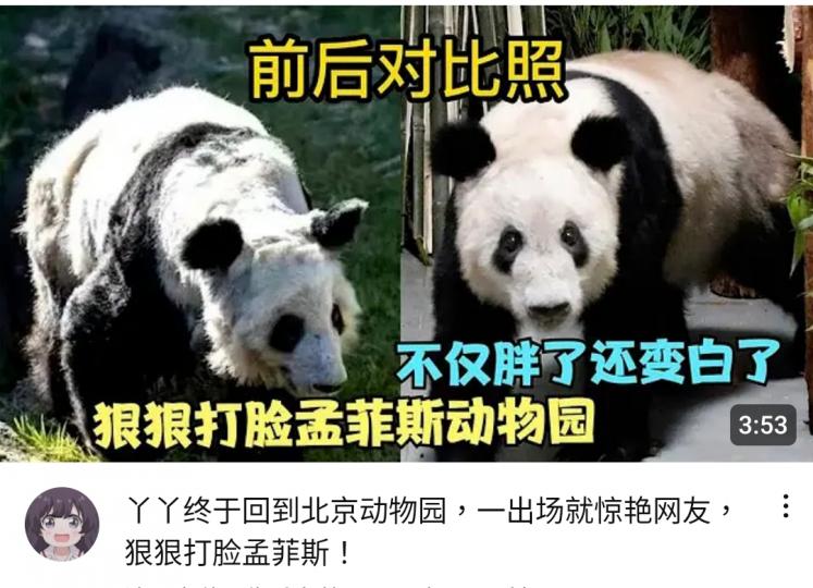 image%3A1000033823