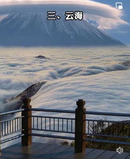 image%3A1000033850