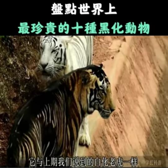 image%3A1000034194