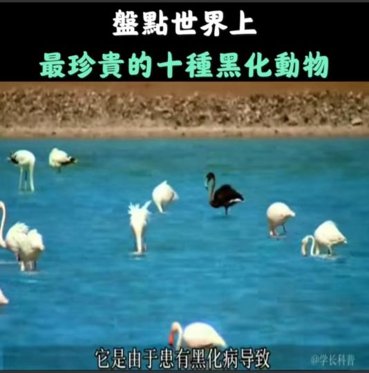 image%3A1000034200