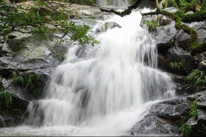 image%3A1000035190