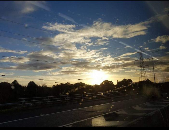 image%3A1000035866