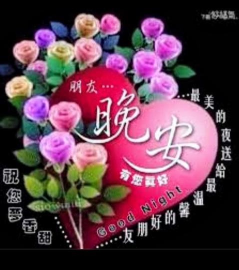 image%3A1000036709