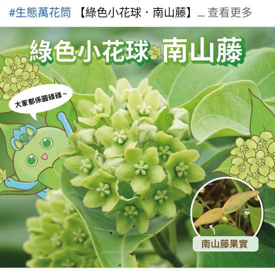 image%3A1000037016