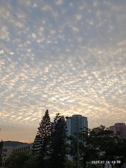 image%3A1000038001