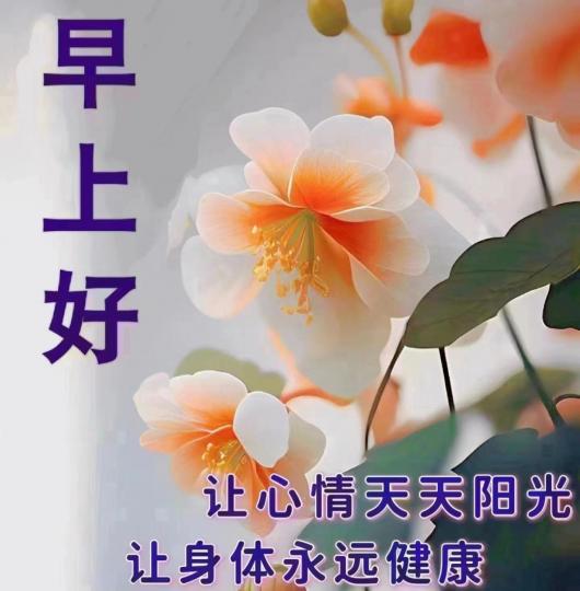 image%3A1000038126
