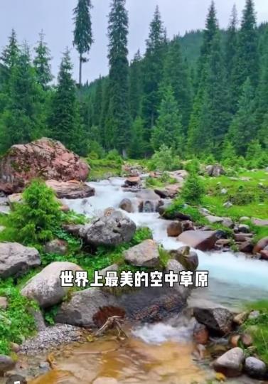image%3A1000039011
