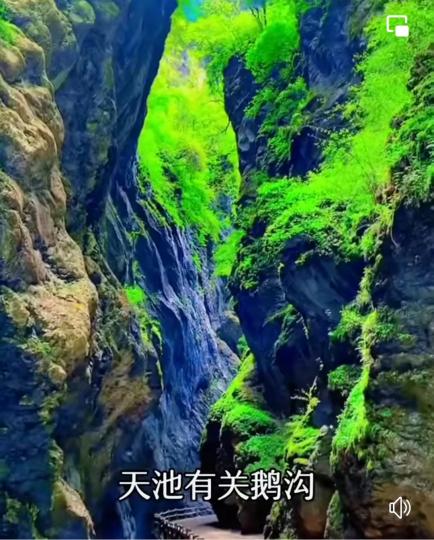 image%3A1000039028_0