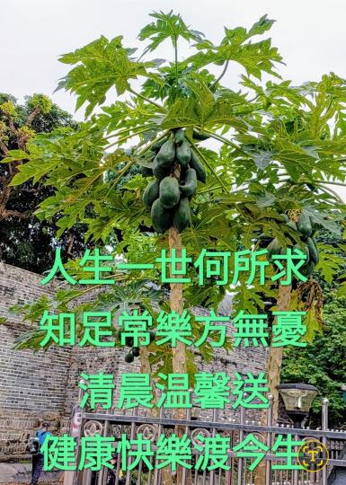 image%3A1000039650_1