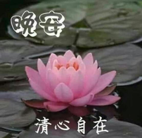 image%3A1000039796_0