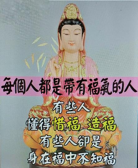 image%3A1000041866_0
