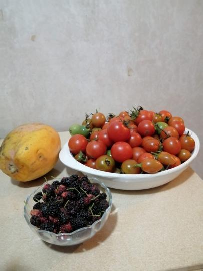 image%3A1000046323