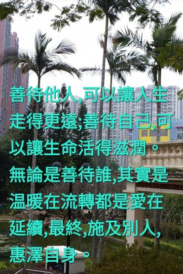 image%3A1000046813