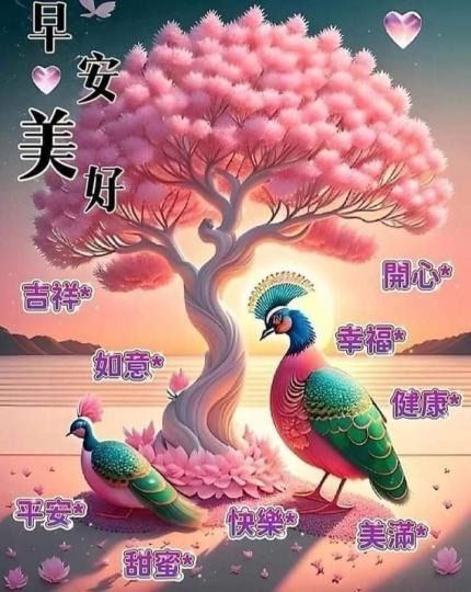 image%3A1000048958