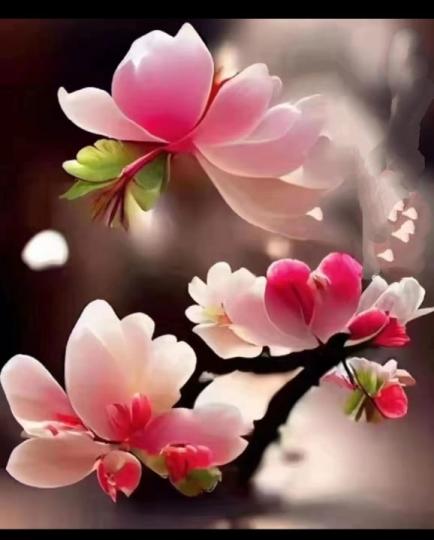 image%3A1000049259_0