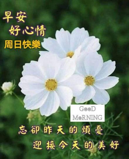 image%3A1000049290