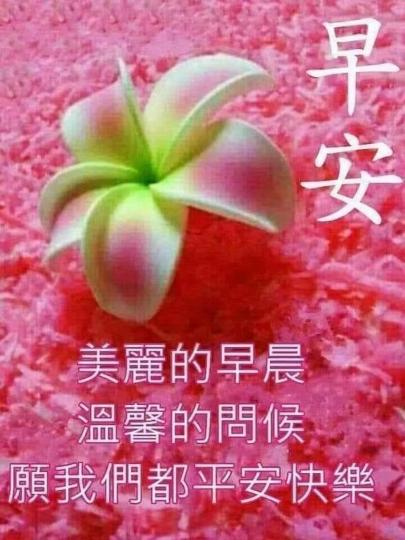 image%3A1000049612
