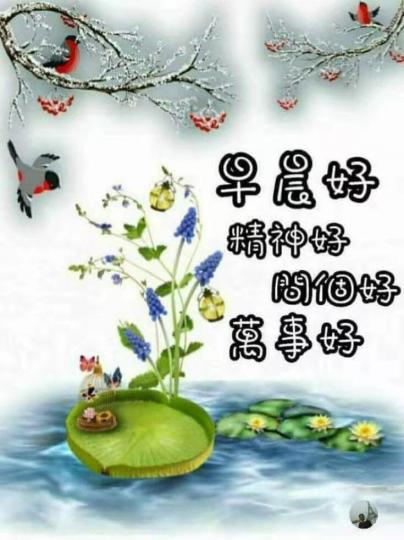 image%3A1000049641