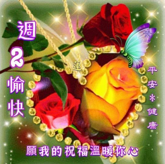 image%3A1000049656