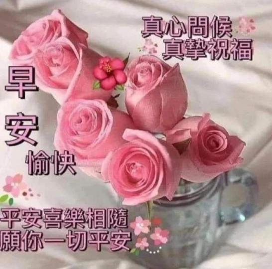 image%3A1000049963