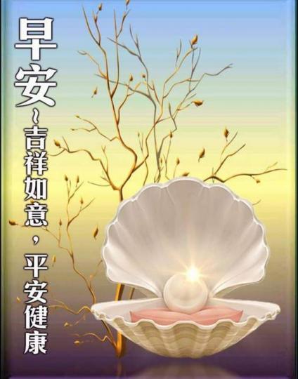 image%3A1000051247