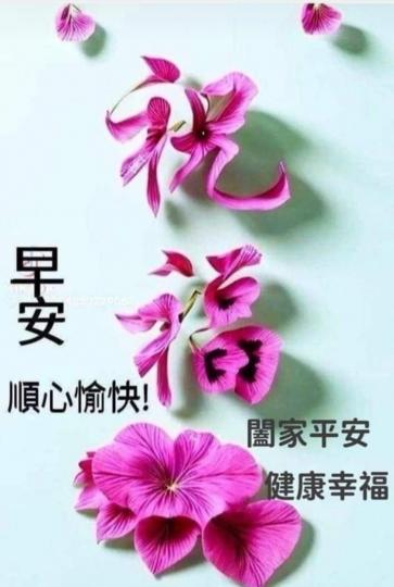 image%3A1000051599_0