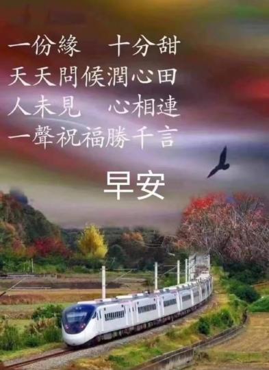 image%3A1000051877
