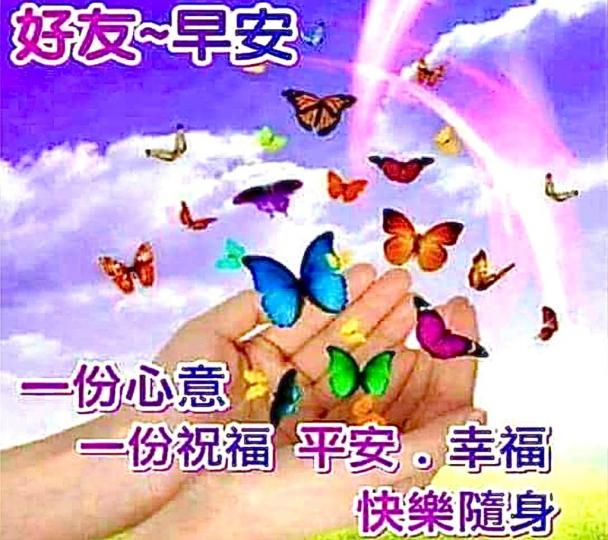 image%3A1000052353