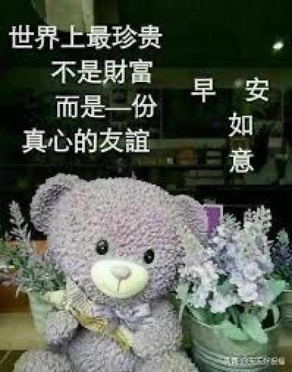 image%3A1000052801