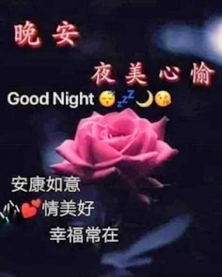 image%3A1000053962