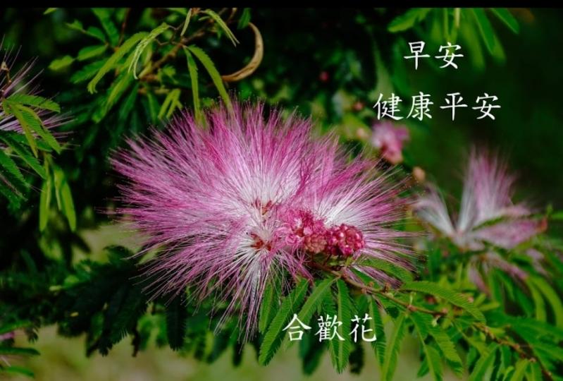 image%3A1000060639
