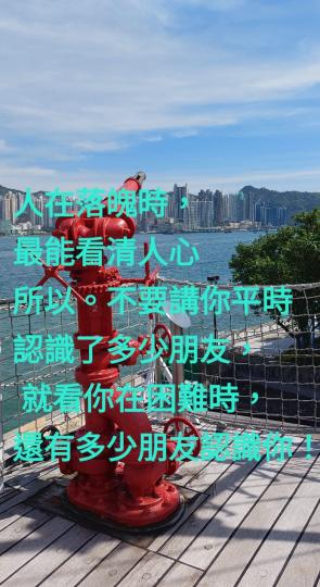 image%3A1000068624