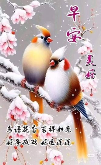 image%3A1000127784